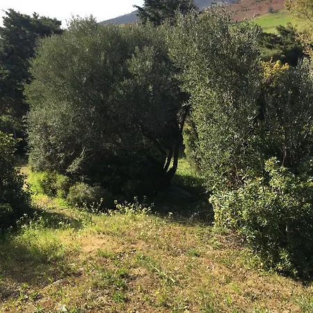 Sunsetview House * Kakogkioni